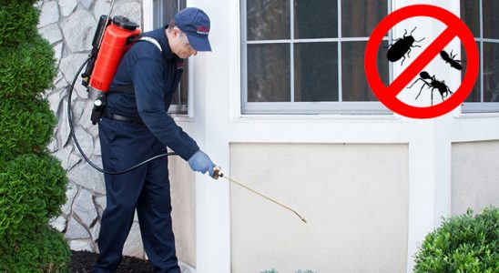 Kurtalan Böcek ve Haşere İlaçlama böcek ilaçlama ve haşere kontrolü — ilaclama-tr.com